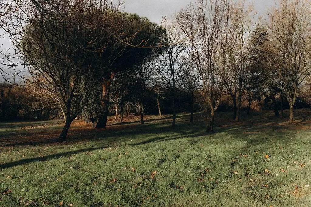 Hébergement de vacances Gites Chaleureux Ecoresponsable Montesquieu-Lauragais